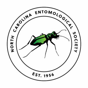 Circle Logo